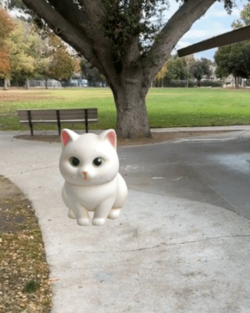 AR French Bulldog park